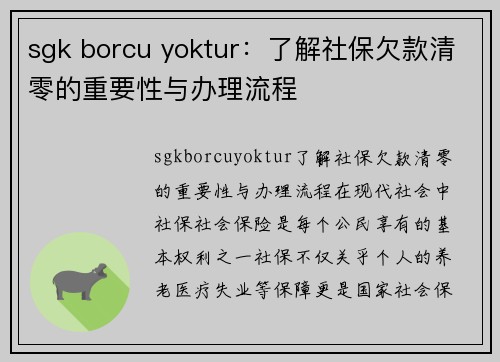 sgk borcu yoktur：了解社保欠款清零的重要性与办理流程